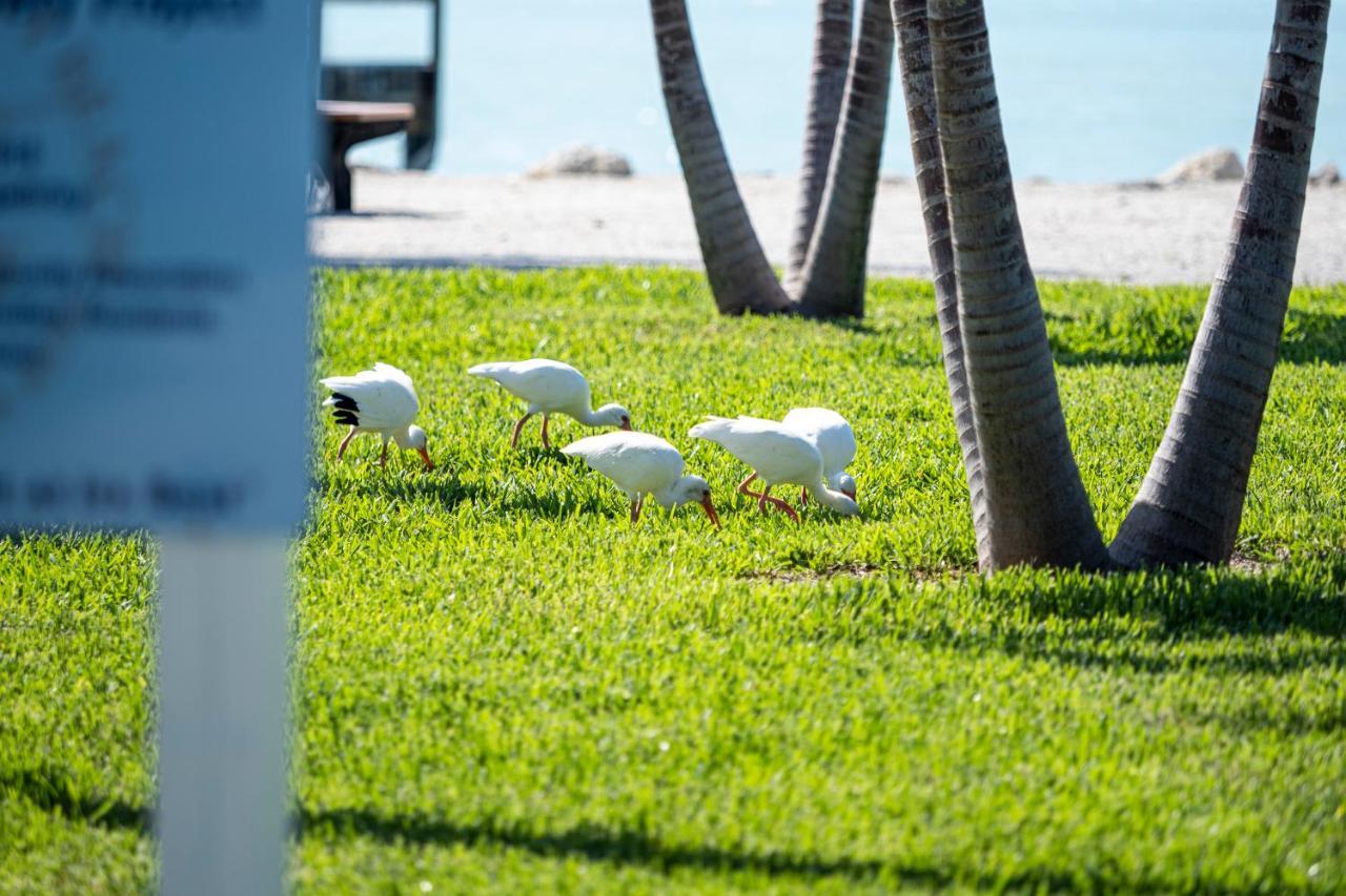 Newly Renovated 3Br2Ba Duplex With Private Dock Villa Key Colony Beach Bagian luar foto